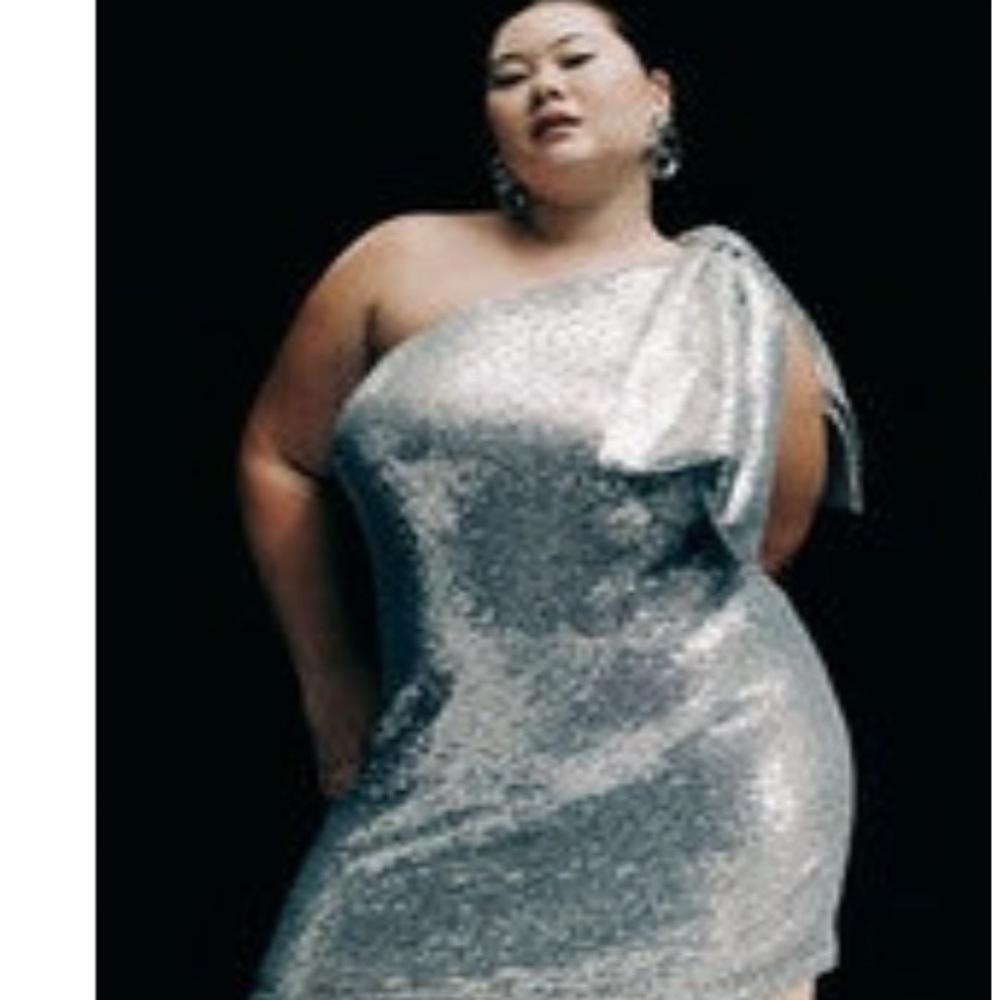 Eloquii Silver Sequin Dress